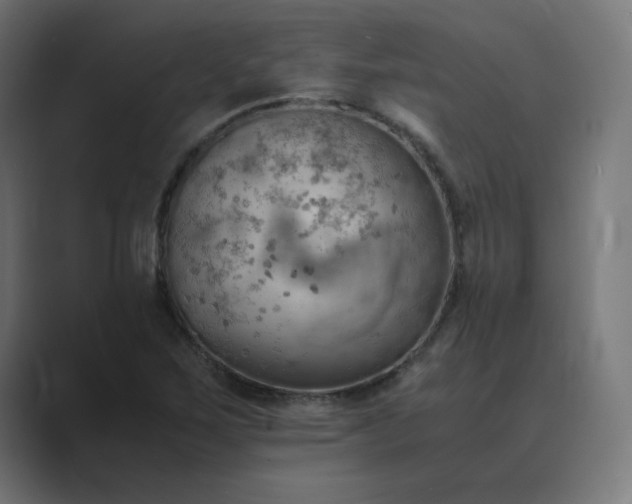 X0000089371267200706291241