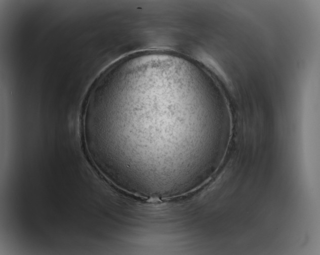 X0000089371268200706291241