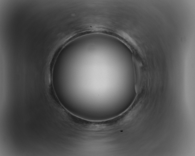 X0000089371269200706291241