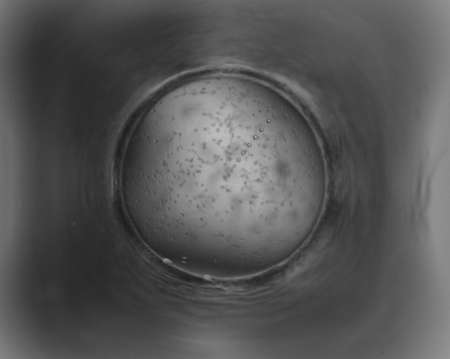 X0000089371271200706291241
