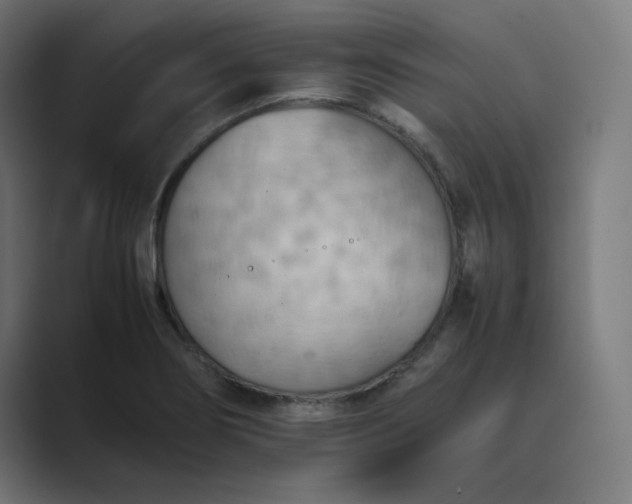 X0000089371274200706291241