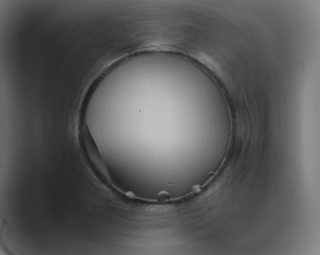 X0000089371277200706291241