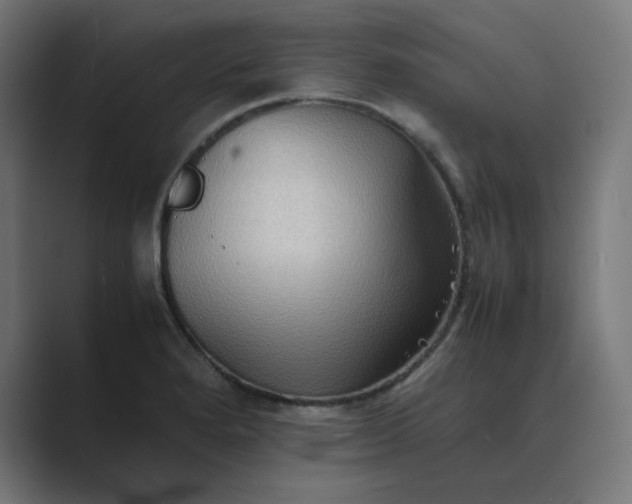 X0000089371280200706291241