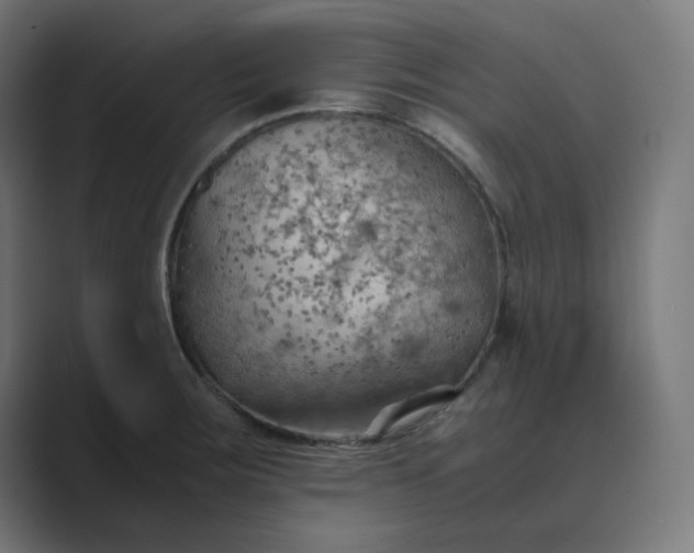 X0000089371283200706291240
