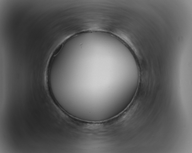 X0000089371285200706291240
