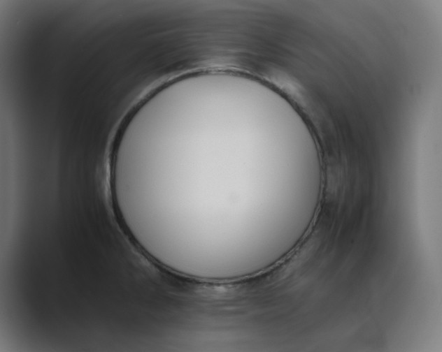 X0000089371286200706291240