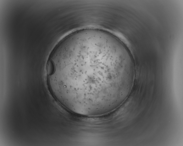 X0000089371287200706291240