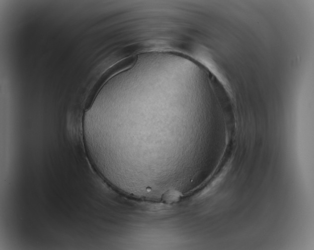 X0000089371289200706291240