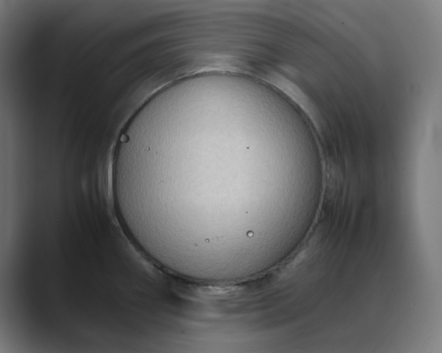 X0000089371290200706291240