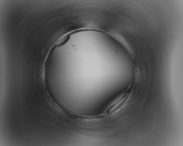 X0000089371292200706291240