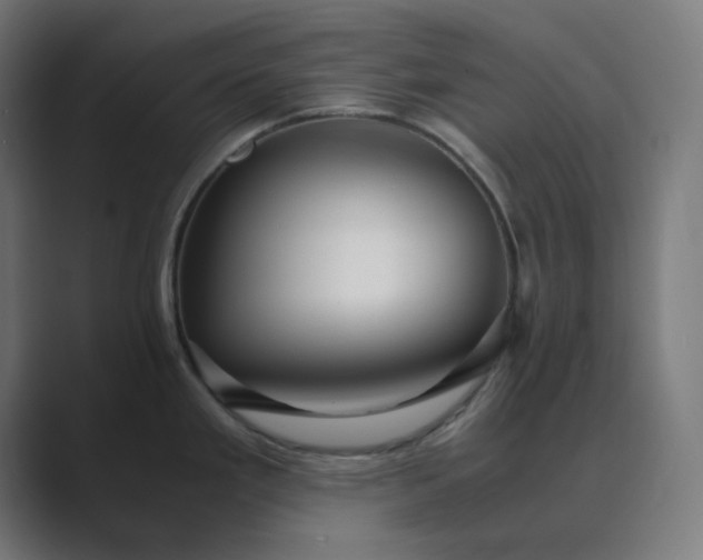 X0000089371293200706291240