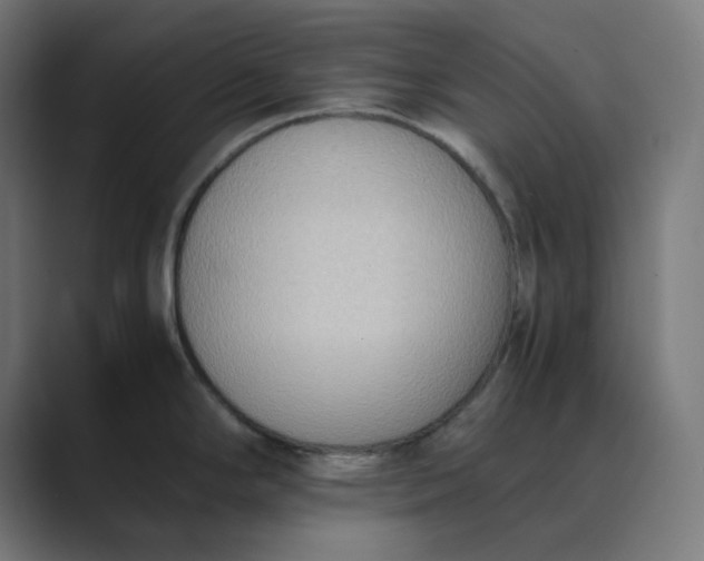 X0000089371294200706291240