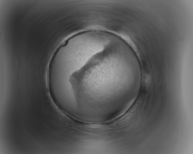 X0000089371295200706291240