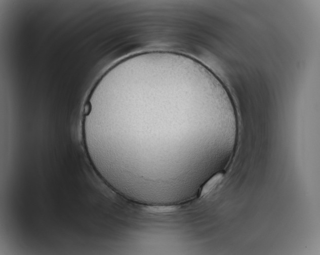 X0000089371296200706291240