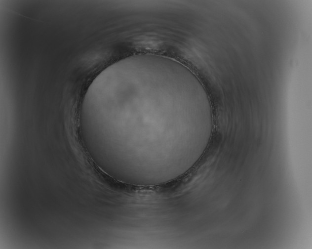 X0000089371297200706291240