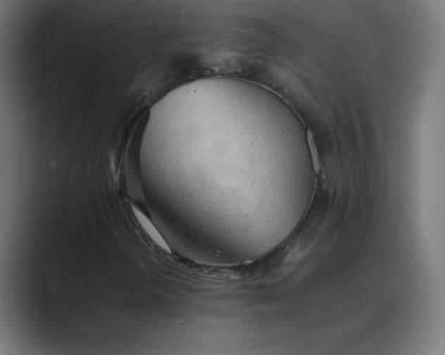 X0000089371298200706291240