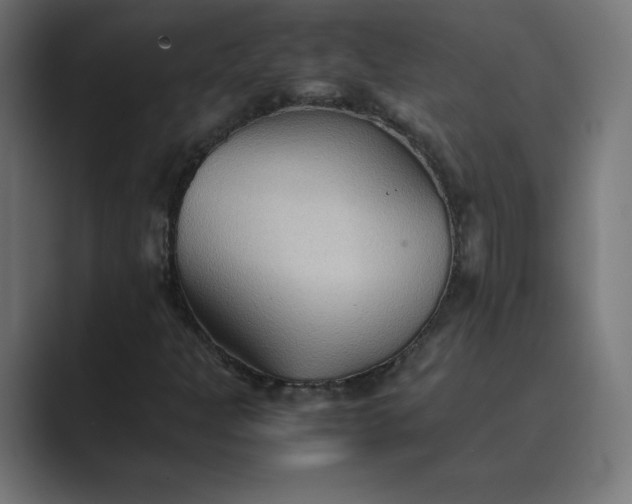 X0000089371301200706291240