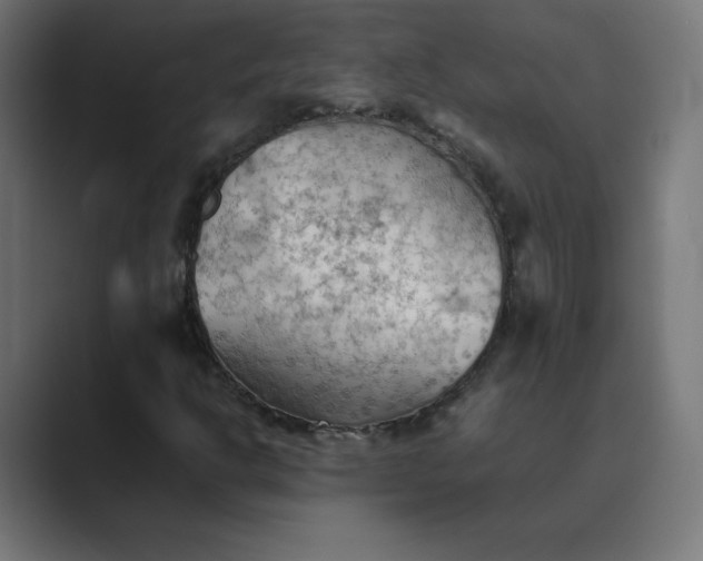 X0000089371302200706291240