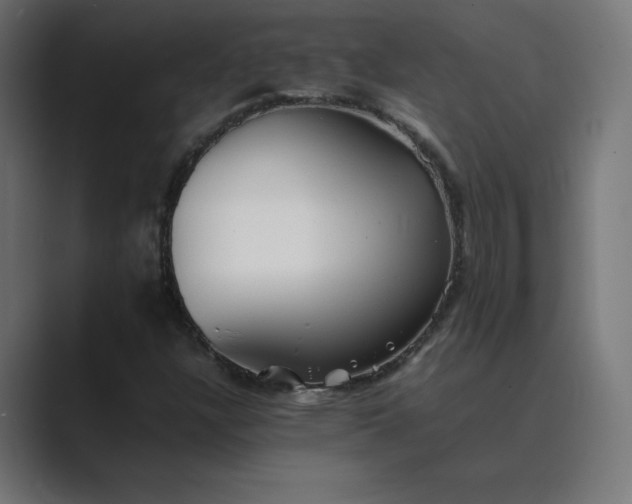 X0000089371304200706291240