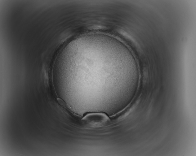 X0000089371305200706291240