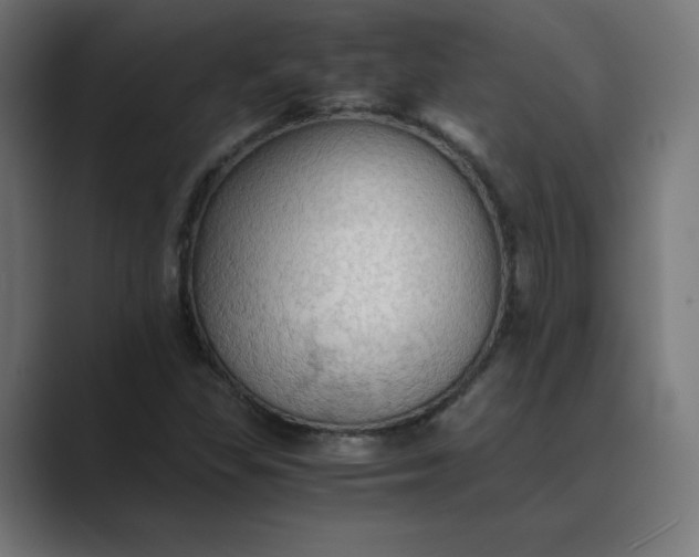 X0000089371309200706291240