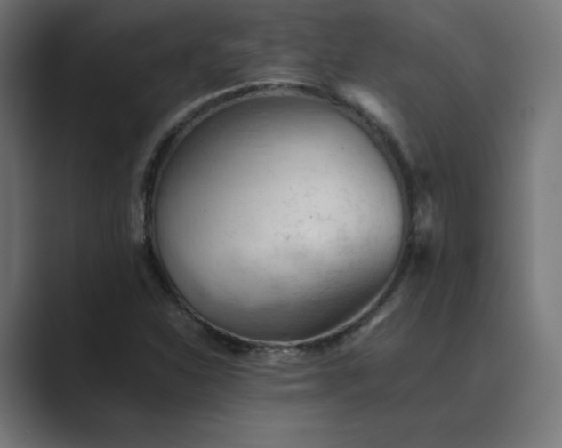 X0000089371310200706291240