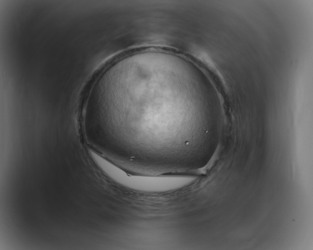 X0000089371312200706291240