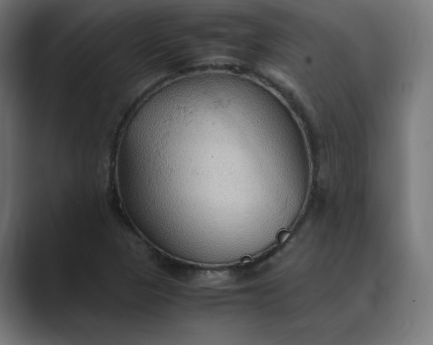 X0000089371313200706291240