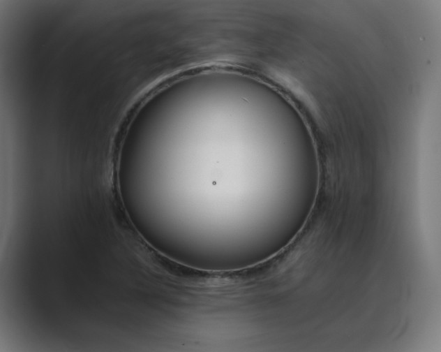 X0000089371316200706291240
