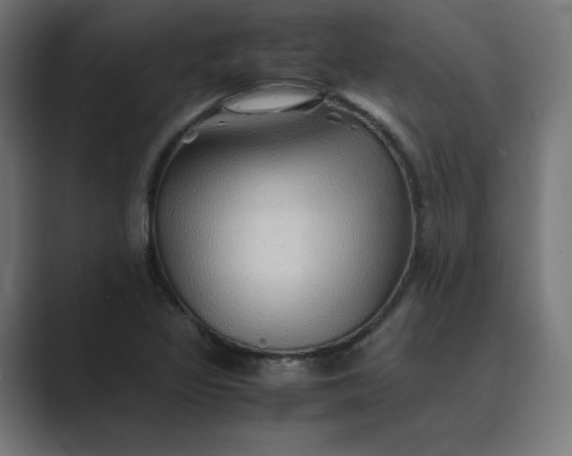 X0000089371317200706291240