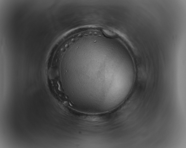 X0000089371319200706291240