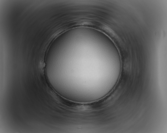 X0000089371321200706291240