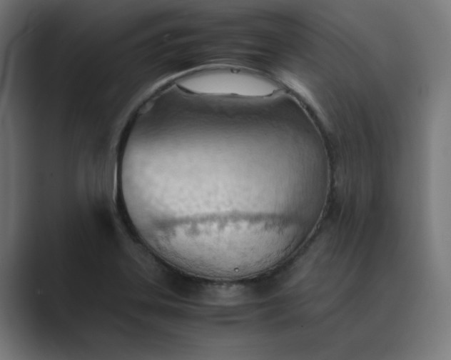 X0000089371323200706291240