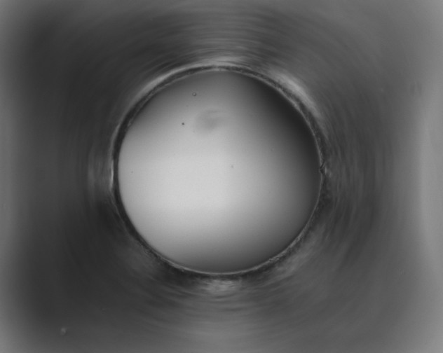 X0000089371324200706291240