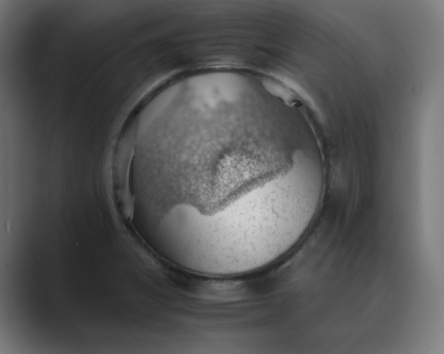 X0000089371325200706291240