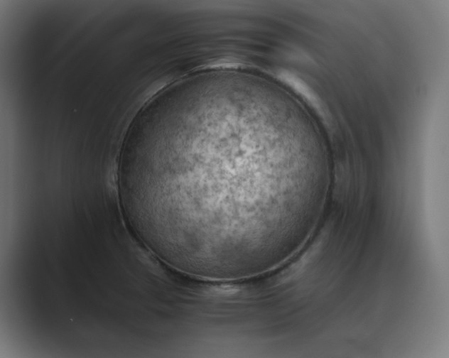 X0000089371329200706291240