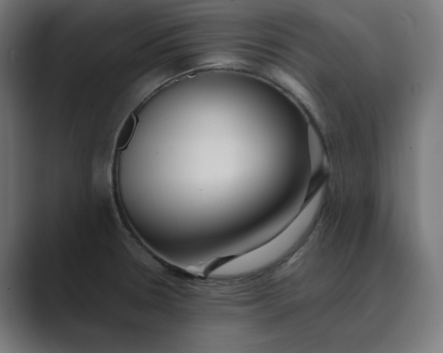 X0000089371330200706291240