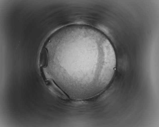 X0000089371331200706291240