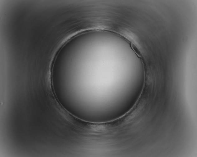X0000089371332200706291240