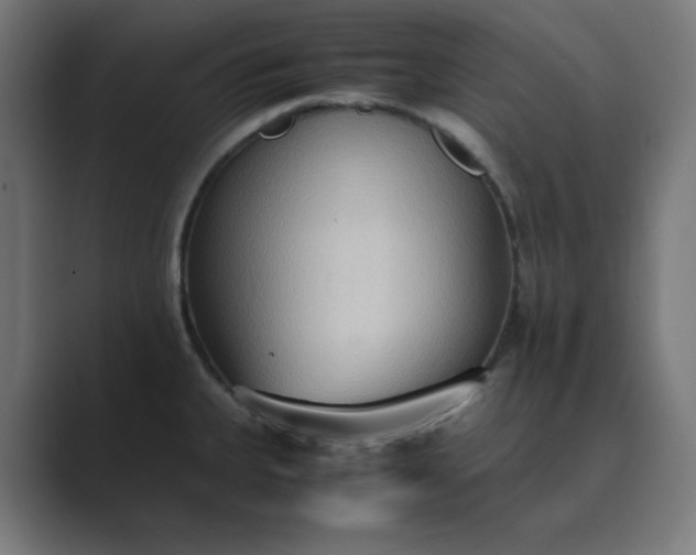 X0000089371335200706291240