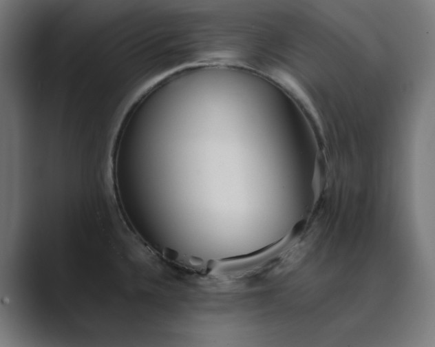 X0000089371336200706291240