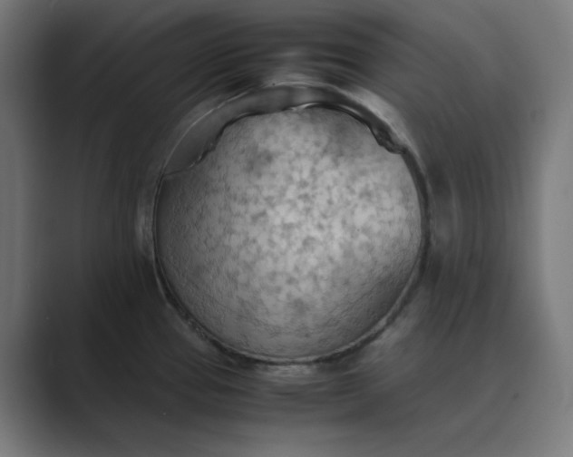 X0000089371337200706291240