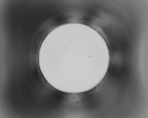 X0000089371338200706291240