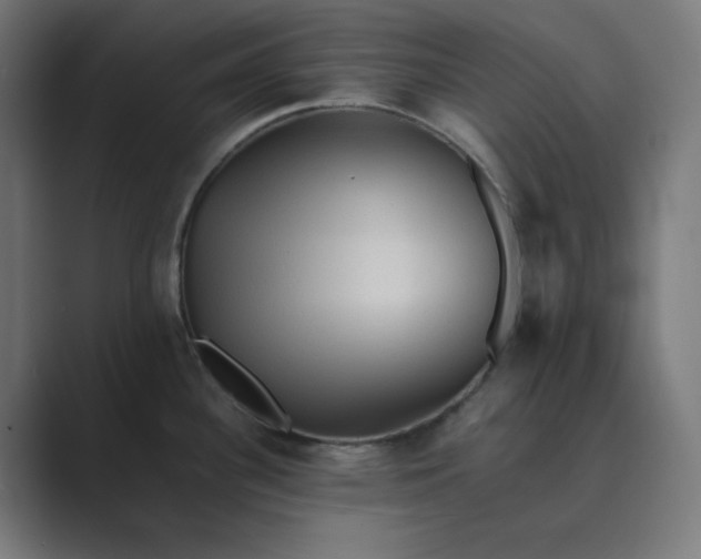 X0000089371340200706291240