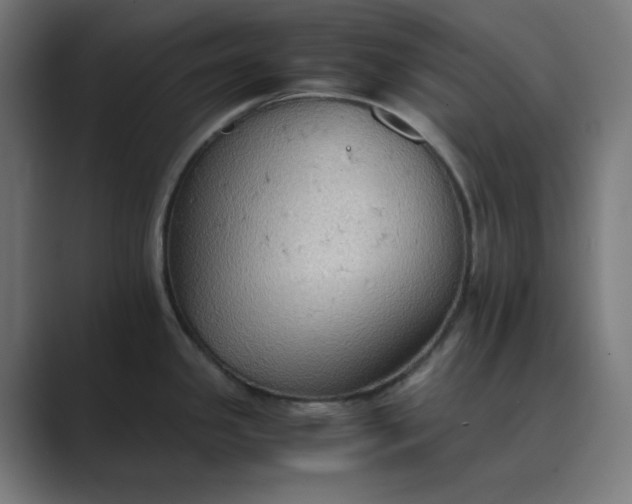 X0000089371341200706291240