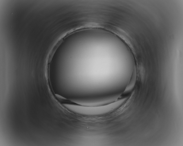 X0000089371342200706291240