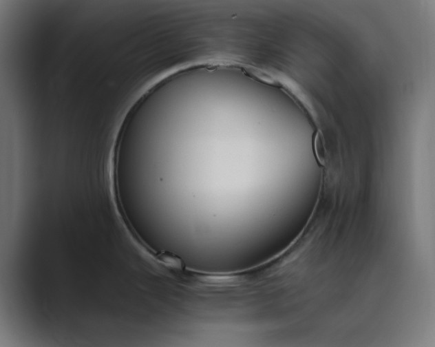 X0000089371343200706291240
