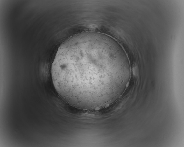 X0000089371347200706291240