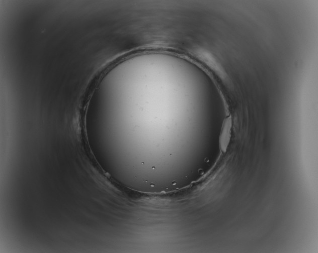 X0000089371356200706291240