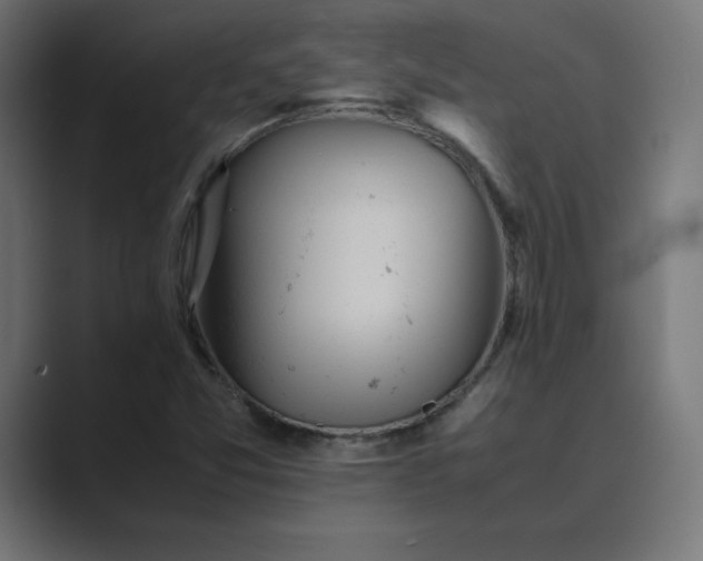 X0000089371357200706291240
